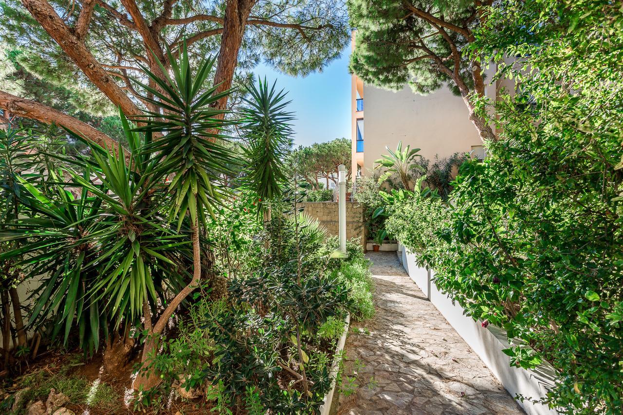 Elviria Front Marbella